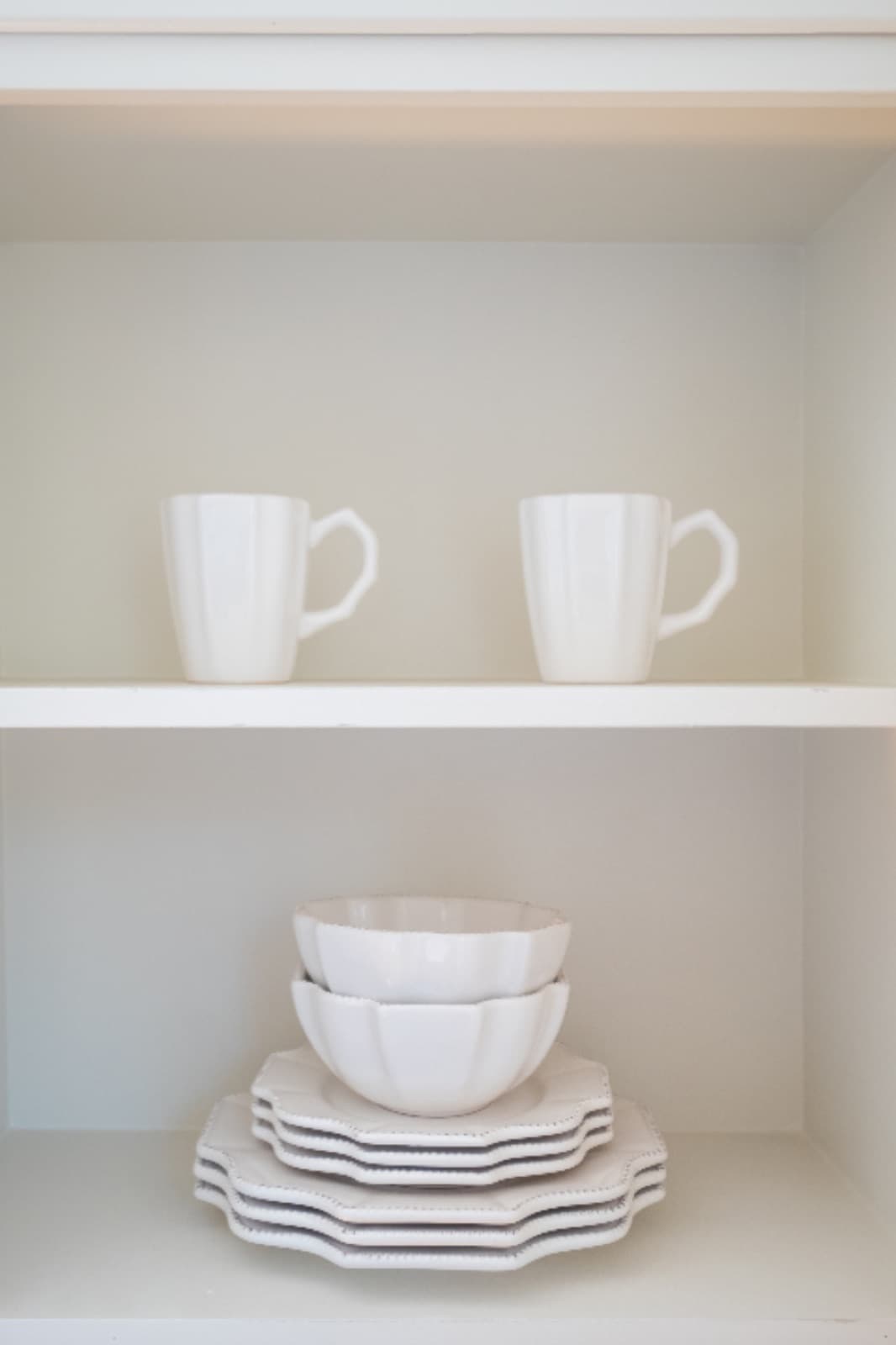 Dinner Plate Set