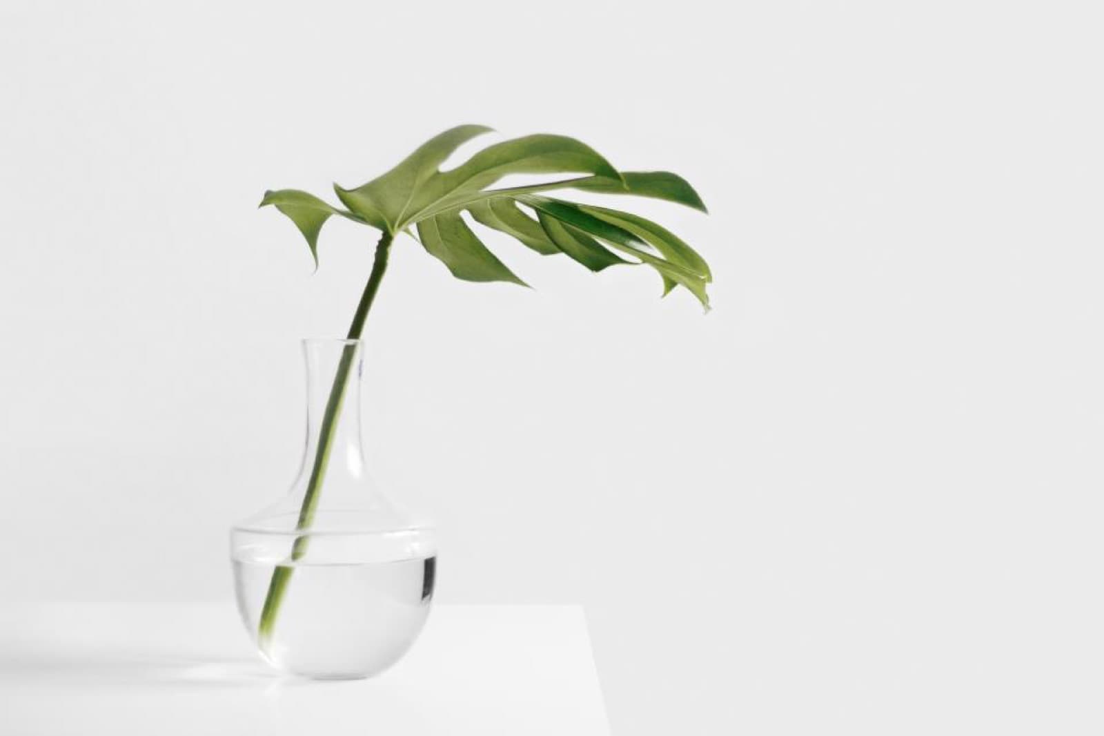 Propagation Glass Vase